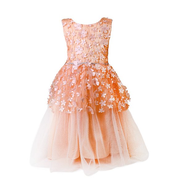 Girl's Floral Mesh Sleeveless Party Dress - Picture 1 of 1